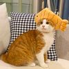 Cat goofs
