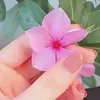 reem.sy499