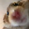 mihan6925