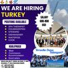 info job turki