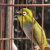thynguyn0122