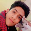 amro2287