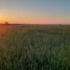 عاشق الريف 🌿🌷