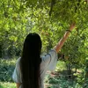 mariam7.7m_m
