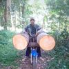 ojek_kayu_cimuncang