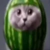 oshimenin.krampon