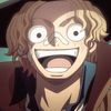 sabo04794