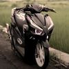 farisxvario31