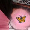kawther.djellout