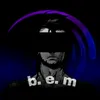 b.e.m_orig