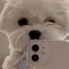 💖