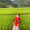 thii.thien