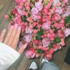 𝒵𝑒𝓎𝓃𝒶𝓁𝑜𝓋𝒶. 𝒩