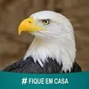 noeme.moreira79