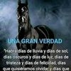 leonardo.cantillo0