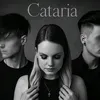 Cataria