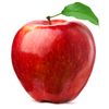 apple_tree223