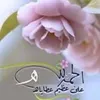 user50209762190546