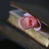 qndylbcuu9o