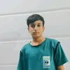 .313674173