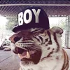 mewka