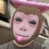 joseph.monkey