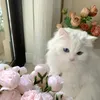 _pickbyrosie_