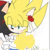 shadgoge_z