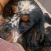 cormac_munt_5581