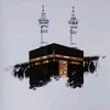 __amr_alsisi__