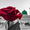 aisha.abdullah536