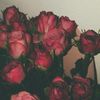 avelin_smn09