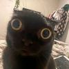 rana_orab0