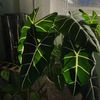green.space22
