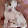 kelly.mariana51