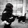 n_sara4