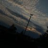 l_sav120