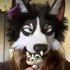 squeaky.treatsfan