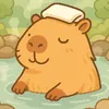 modo.capivara