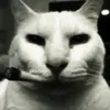 adoighadgoad
