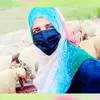 farhat.rajput2
