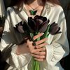 zarif_108