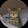 acountdelecdet