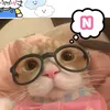 nguyn.c.h342