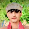 laiq308