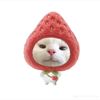 juni_290611