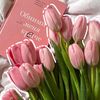 mufida.salsabila233