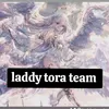 laddy.tora.team