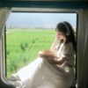 bbutterfly_51