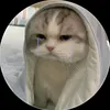 thmt_2510